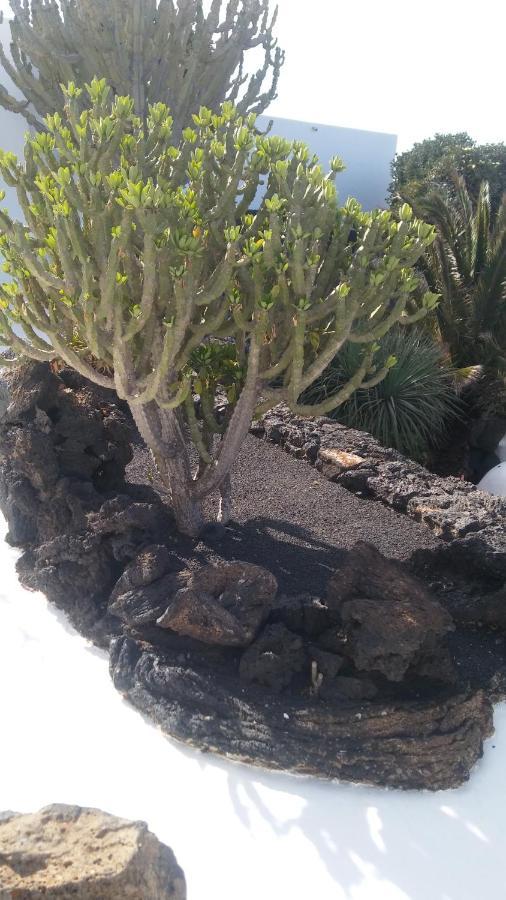 La Casita Ma Petite Folie Tenerife Santa Cruz de Tenerife Ngoại thất bức ảnh